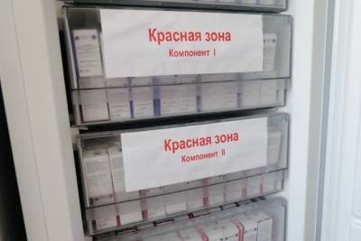 За сутки 96 тамбовчан заразились коронавирусной инфекцией - tambov.mk.ru