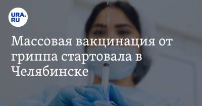 Массовая вакцинация от гриппа стартовала в Челябинске - ura.news - Челябинск