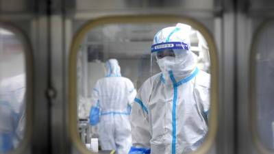 The Telegraph: учёные из Ухани планировали заразить летучих мышей коронавирусами в 2018 году - russian.rt.com - Сша - Ухань