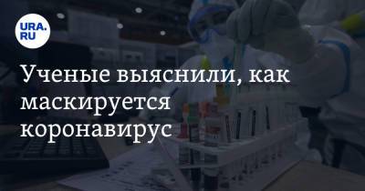 Ученые выяснили, как маскируется коронавирус - ura.news - Санкт-Петербург