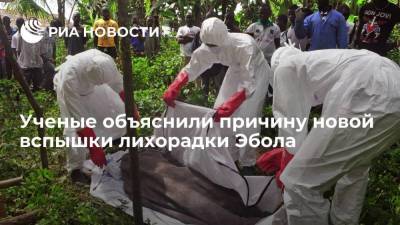 Ученые объяснили причину новой вспышки лихорадки Эбола - smartmoney.one - Москва