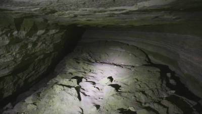 В пещере на севере Лаоса нашли возможных виновников пандемии коронавируса - mir24.tv - Лаос