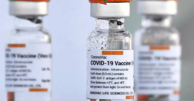 В Украину доставили еще 159 тысяч доз вакцины CoronaVac по программе COVAX - dsnews.ua - Украина