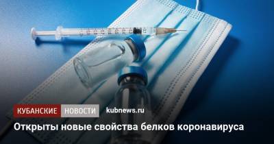 Открыты новые свойства белков коронавируса - kubnews.ru - Россия