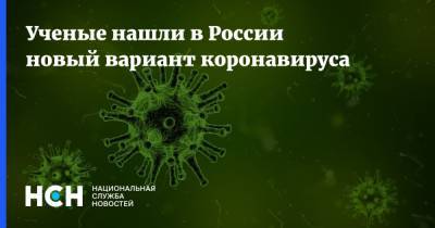 Ученые нашли в России новый вариант коронавируса - nsn.fm - Россия - Германия - Голландия