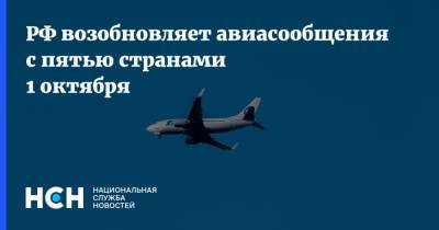 РФ возобновляет авиасообщения с пятью странами 1 октября - nsn.fm - Россия - Киргизия - Япония - Таджикистан - Узбекистан - Новая Зеландия - Дания - Эмираты - Бахрейн - Юар - Танзания - Джибути