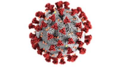 Из-за мутаций коронавирус лучше передается по воздуху и мира - cursorinfo.co.il - Сша - штат Мэриленд
