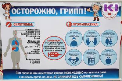 В Минздраве Коми рассказали, чем опасен грипп - komiinform.ru - республика Коми