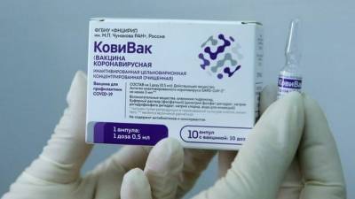 В России приостановили выпуск вакцины от коронавируса - bash.news - Россия