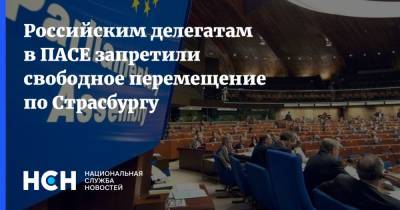 Владимир Круглый - Российским делегатам в ПАСЕ запретили свободное перемещение по Страсбургу - nsn.fm - Россия - Евросоюз