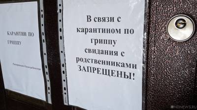 В Челябинской области на карантин закрыли более 700 классов - newdaynews.ru - Челябинская обл.