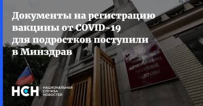 Алексей Кузнецов - Документы на регистрацию вакцины от COVID-19 для подростков поступили в Минздрав - nsn.fm - Россия