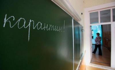 Несколько классов в школах Тюменской области закрыты на карантин из-за коронавируса - news.megatyumen.ru - Тюменская обл.