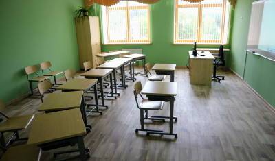 В Башкирии еще один город вводит дистанционное обучения для школьников - mkset.ru - республика Башкирия - Кумертау