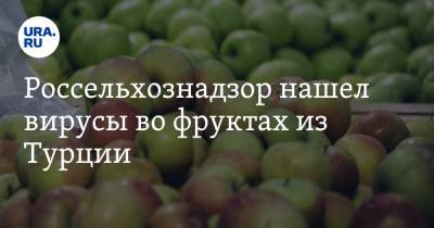 Россельхознадзор нашел вирусы во фруктах из Турции - ura.news - Россия - Турция