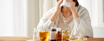 В Новосибирской области за неделю почти 25 тысяч человек заболели ОРВИ - runews24.ru - Новосибирская обл.