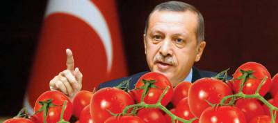 В ответ на демарш Эрдогана Россия не признает турецкие помидоры - politnavigator.net - Россия - Турция