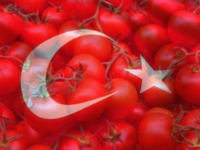 В турецких помидорах опять обнаружилась коричневая морщинистость - smartmoney.one - Россия - Турция