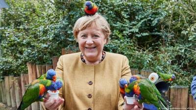 Ангела Меркель - Меркель до крика напугал попугай: фото стало вирусным в сети - vchaspik.ua - Украина - Германия