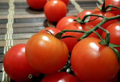 Россельхознадзор выявил вирусы в томатах из Турции - actualnews.org - Россия - Турция