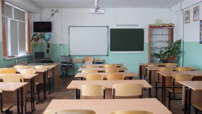 Число классов на удалёнке в школах Петербурга перевалило за сотню - dp.ru - Санкт-Петербург - Пресс-Служба