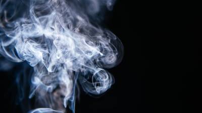 Биолог Аграновский не исключил, что курение может препятствовать заражению COVID-19 - inforeactor.ru