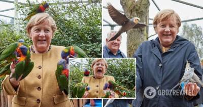 Ангела Меркель - Меркель с попугаями: в сети стали вирусными фото канцлера ФРГ в птичьем парке - obozrevatel.com - Германия