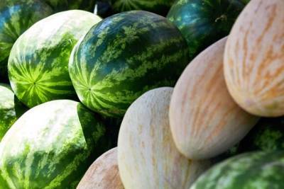 Эксперты рассказали, почему не стоит замораживать дыню и арбуз - yur-gazeta.ru - Узбекистан