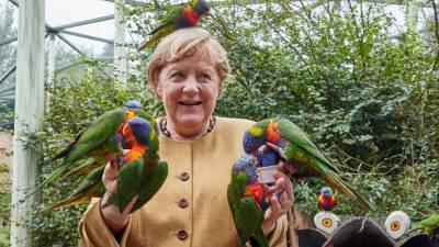 Ангела Меркель - Сегодня закончится эпоха Меркель: что известно о кандидатах в канцлеры ФРГ - 5-tv.ru - Германия