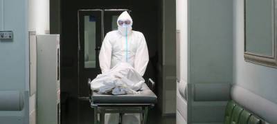 За время пандемии в России от коронавируса умерло 203 900 человек - stolicaonego.ru - Россия