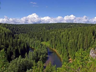 Как потепление влияет на сибирские леса и можно ли их сохранить - argumenti.ru - Россия