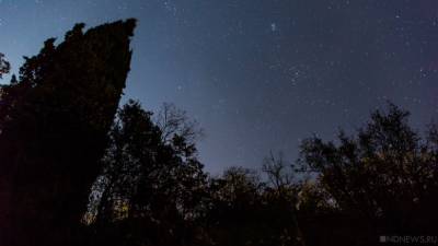 В южноуральском лесу один браконьер застрелил другого и погиб сам - newdaynews.ru