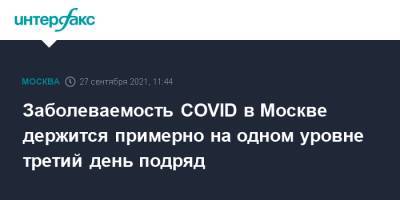 Заболеваемость COVID в Москве держится примерно на одном уровне третий день подряд - interfax.ru - Москва