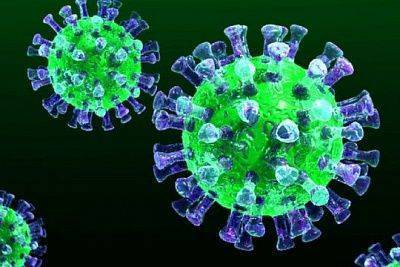 ВОЗ намерена возобновить расследование о происхождении коронавируса - sovsekretno.ru - Китай