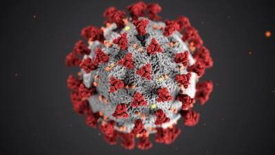 Дмитрий Еделев - Эксперт рассказал, какую опасность для детского организма несет новый штамм коронавируса - vm.ru