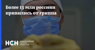 Более 13 млн россиян привились от гриппа - nsn.fm - Россия