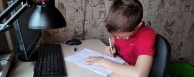 В Уфе на дистанционное обучение на две недели перевели учеников 70 школ - runews24.ru - Уфа