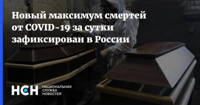 Новый максимум смертей от COVID-19 за сутки зафиксирован в России - nsn.fm - Россия