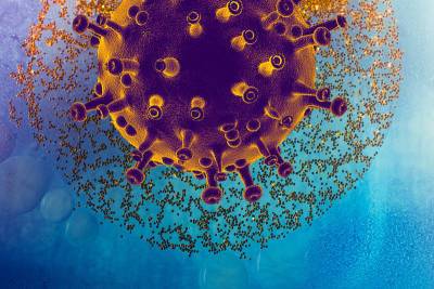 Биологи рассказали, как коронавирус влияет на кишечник больного и мира - cursorinfo.co.il - Голландия