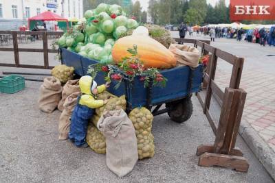 В Коми пройдет сельскохозяйственная ярмарка «Урожай – 2021» - bnkomi.ru - республика Коми - Сыктывкар