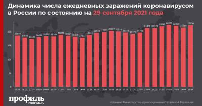 В России зарегистрировали новый максимум по суточной смертности от COVID-19 - profile.ru - Россия