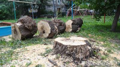 В Кургане вырубят сотни деревьев. Мэрии пришлось объясниться - newdaynews.ru
