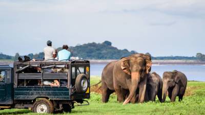 Шри-Ланка с 1 октября отменит ПЦР-тесты для привитых от COVID-19 туристов - mir24.tv - Шри Ланка