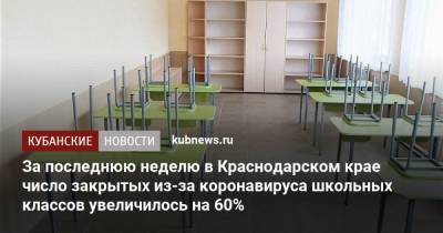 За последнюю неделю в Краснодарском крае число закрытых из-за коронавируса школьных классов увеличилось на 60% - kubnews.ru - Краснодарский край
