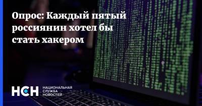 Опрос: Каждый пятый россиянин хотел бы стать хакером - nsn.fm