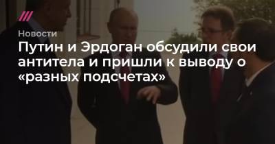 Путин и Эрдоган обсудили свои антитела и пришли к выводу о «разных подсчетах» - tvrain.ru - Россия - Сочи