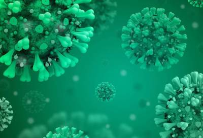 Владимир Никифоров - Инфекционист заявил о смертельном риске заражения гриппом и коронавирусом - online47.ru - Россия
