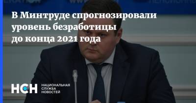 Антон Котяков - В Минтруде спрогнозировали уровень безработицы до конца 2021 года - nsn.fm - Россия
