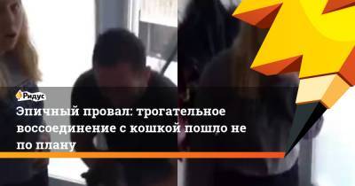 Эпичный провал: трогательное воссоединение с кошкой пошло не по плану - ridus.ru