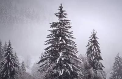 Снеговиков может и не быть: синоптики рассказали, какой будет погода на Новый год и зимой - ukrainianwall.com - Украина